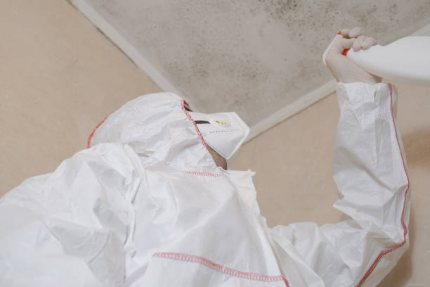 Best Mold Removal Company Near Me  in Biscoe, NC